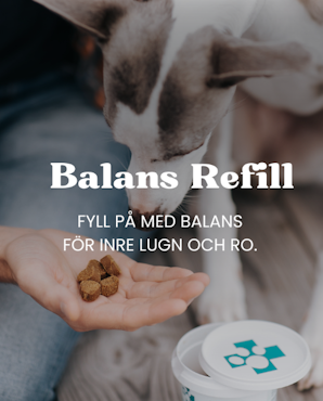 Balans Refill 45 tabletter
