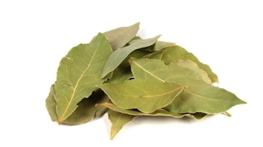 Hydrolat Lagerblad 50 ml för Nosework