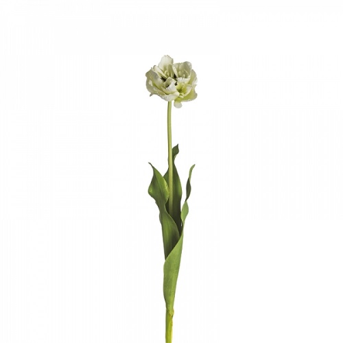 Sia - vitgrön färgton i naturtroget utförande Tulpan 71 cm
