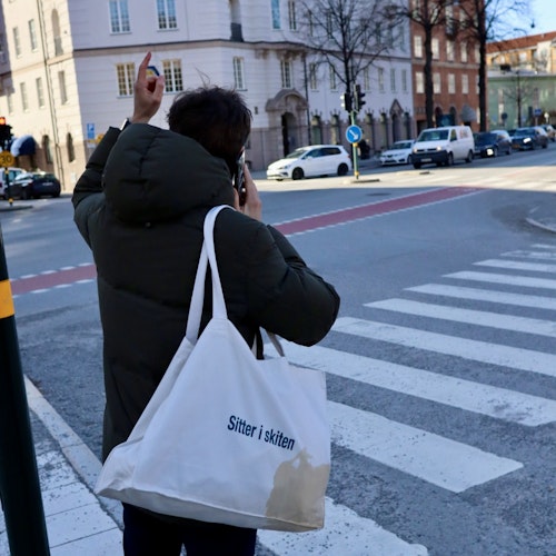 Tote bag – Sitter i skiten