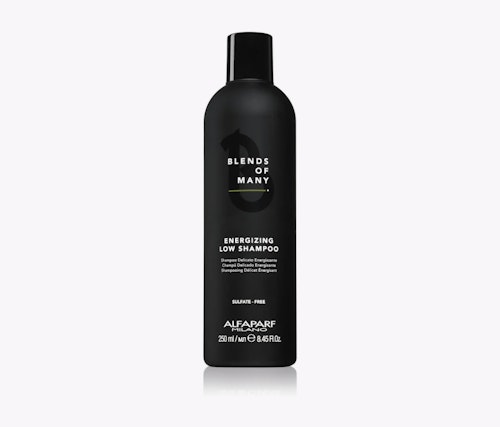 ALFAPARF Herr Energizing Low Shampoo