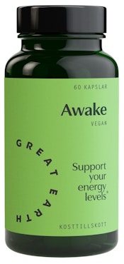 Great Earth Awake