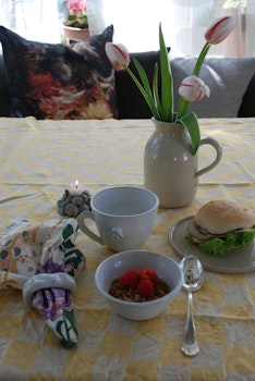 Servettringar Vit