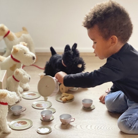 Servis skogen i picknickkorg rotting