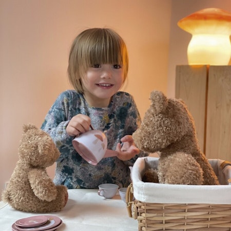 Egmont Toys Servis igelkott i picknickkorg rotting