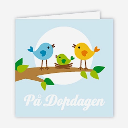 Paketkort dop, fågelfamilj