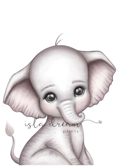 Poster Theodore elefant