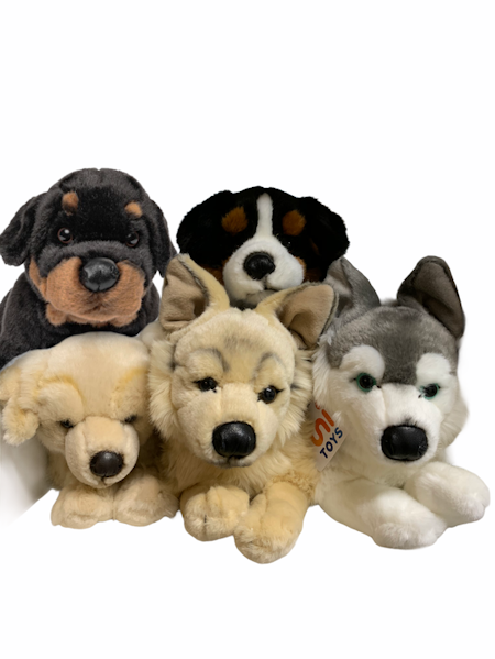 Hund, Uni-Toys