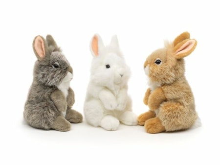 Kanin angora 20 cm