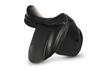 Tølthester Safir