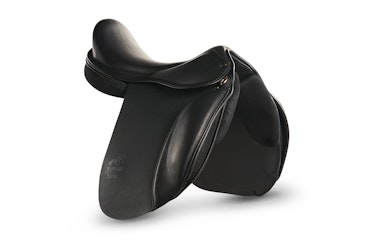 Tølthester Safir