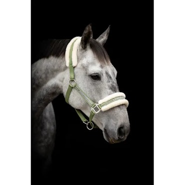 Grimma Horse Unique