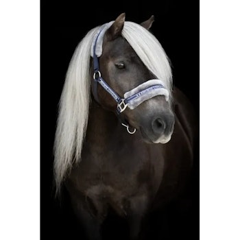 Grimma Horse Unique