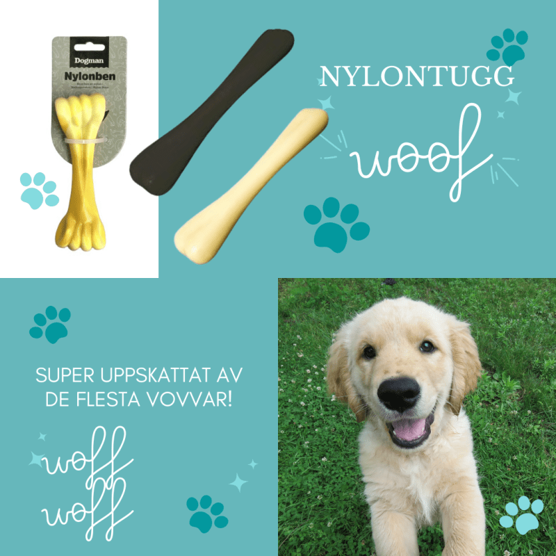 Hjälp min hund är allergisk! eller känslig mage!