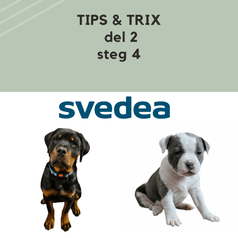 DEL 2 Tips & Trix - Försäkring