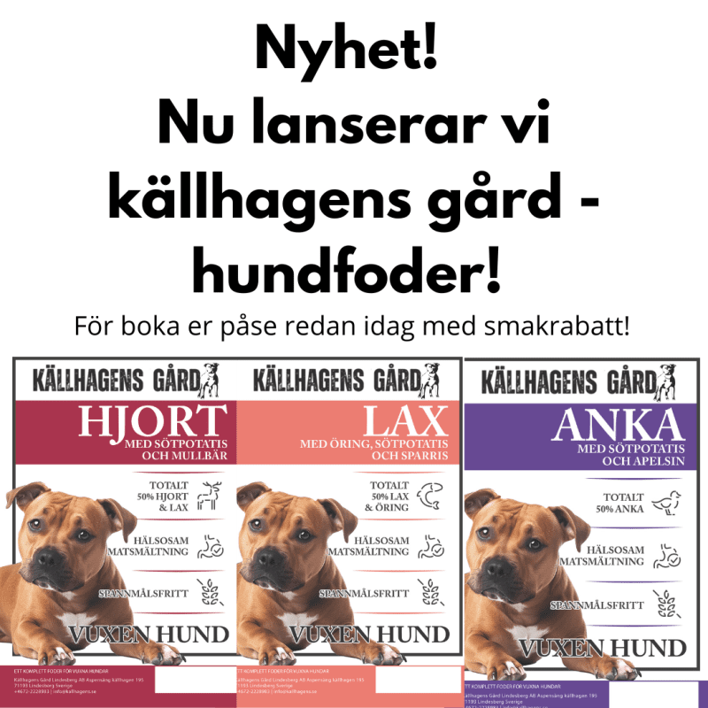 Foder djungel - vad är egentligen bra för min hund?