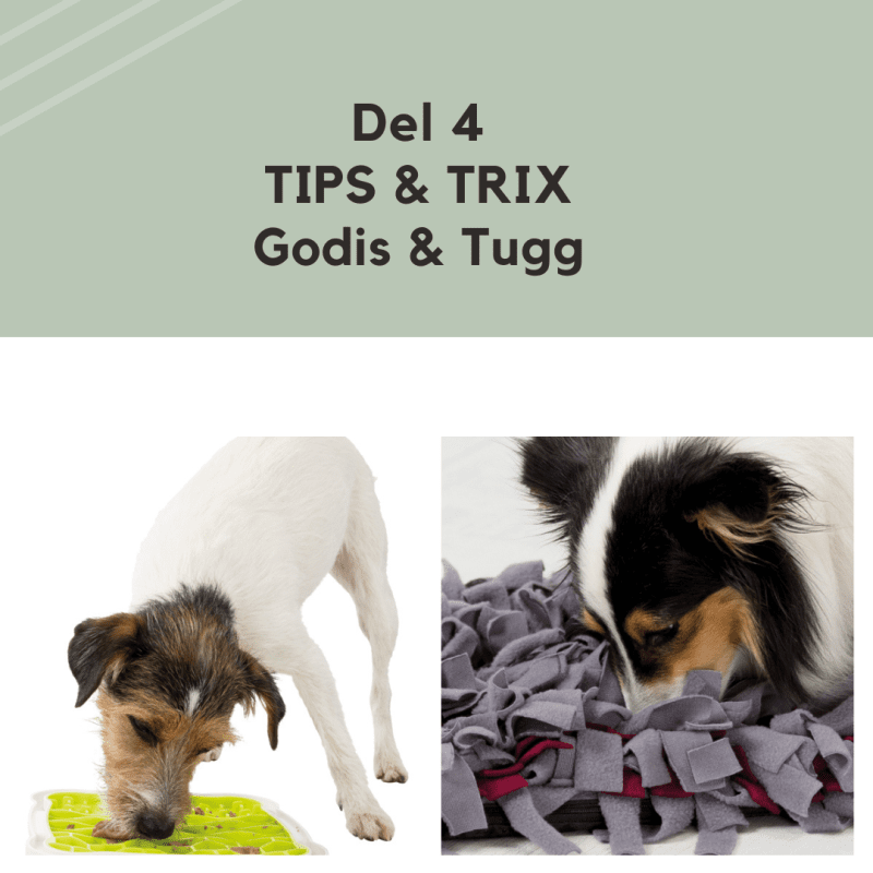 DEL 4 Godis & Tugg