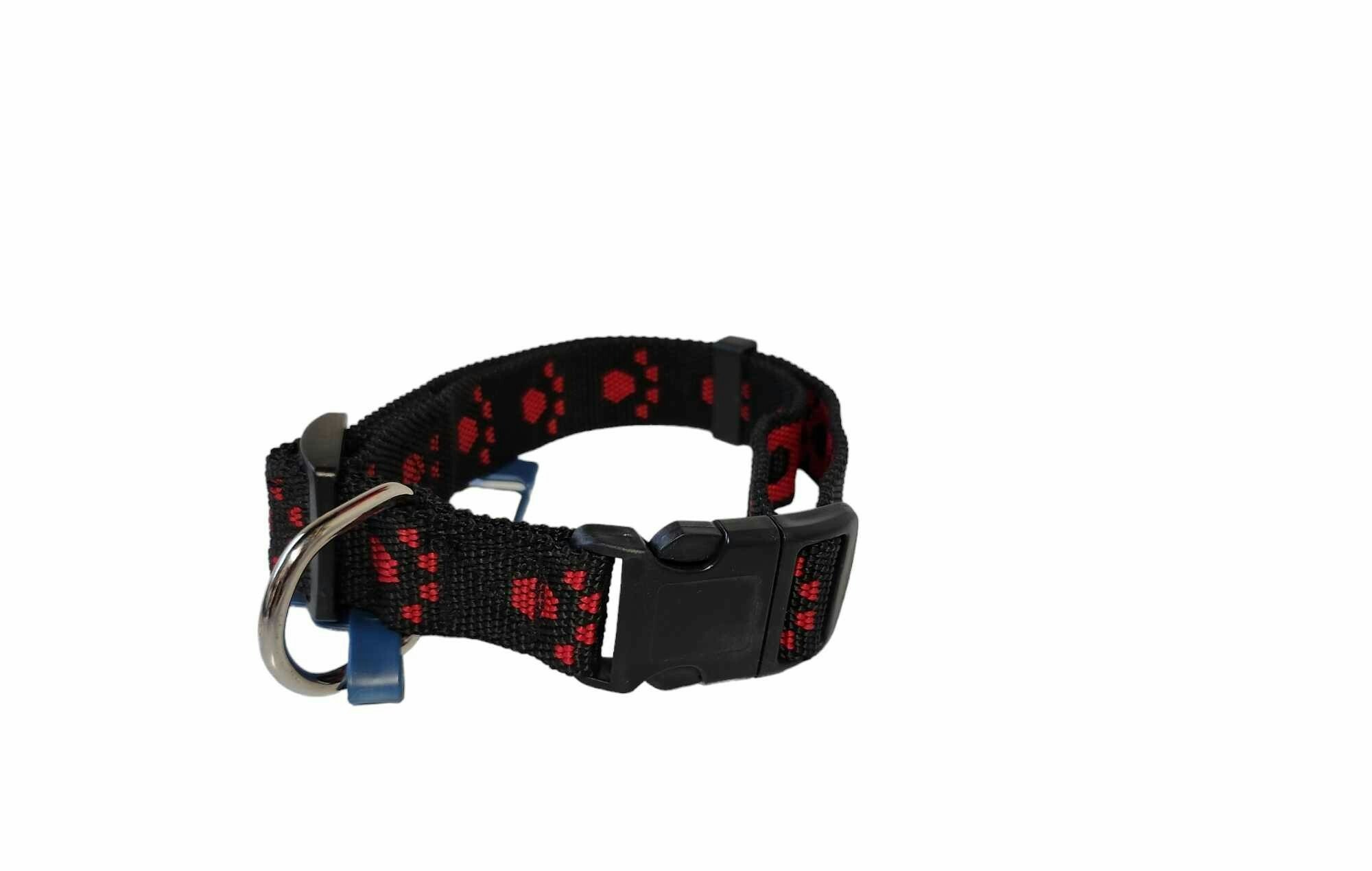 Halsband med röda tassar