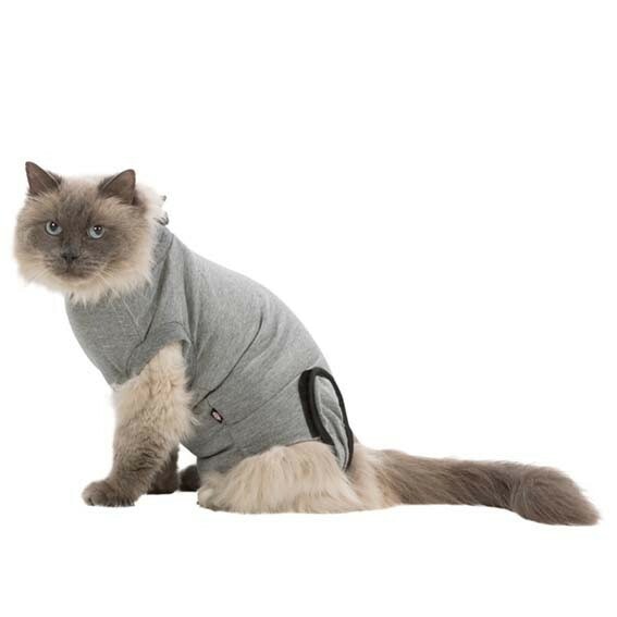 Kattbody storlek Small/medium