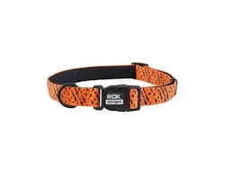 ROK strap halsband i olika färg och storlek