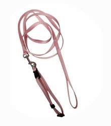 Valpkoppel set med halsband i olika färger