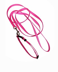 Valpkoppel set med halsband i olika färger