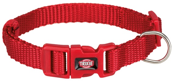 valp halsband olika färger