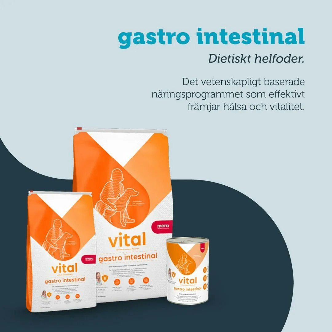 mera vital dog Gastro Intestinal " Kampanj pris"