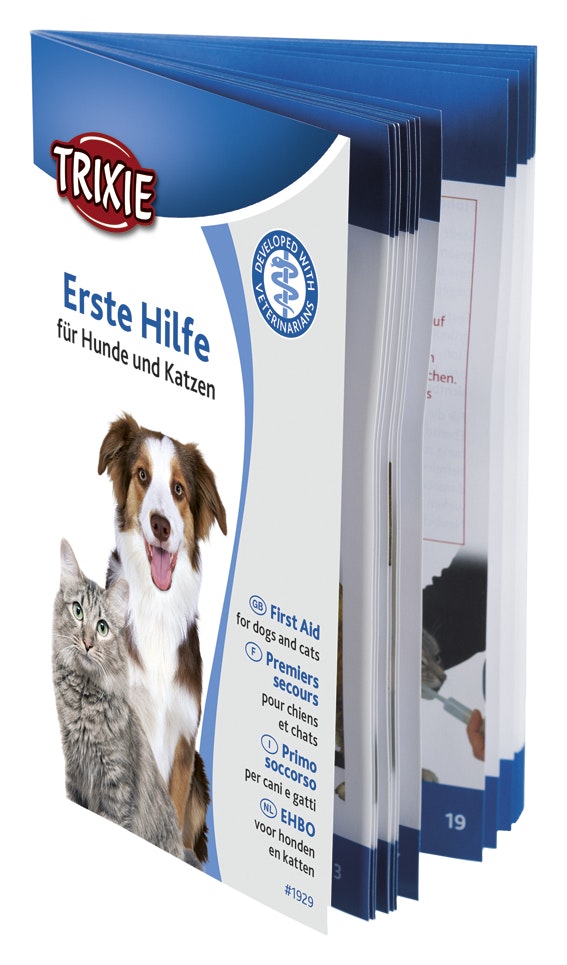 Första hjälpen kit - hund