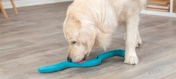 Snacks orm 59cm