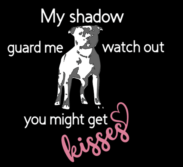 Våran unika staffe shadow mössa med reflex!