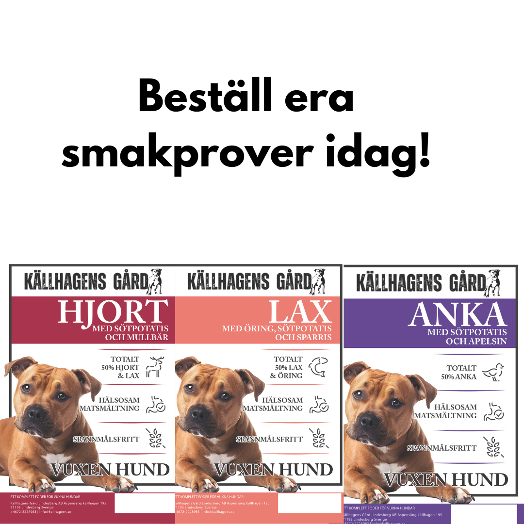 Smakprover från Källhagens gård - Hundfoder