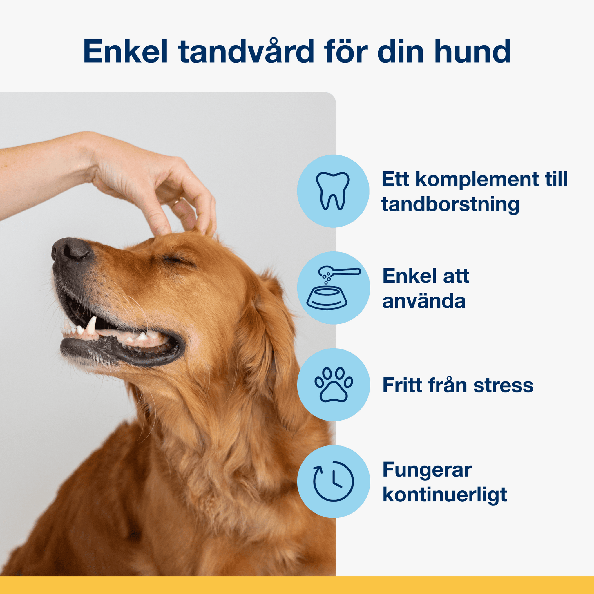 ProDen PlaqueOff®