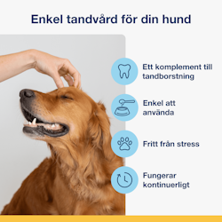 ProDen PlaqueOff®