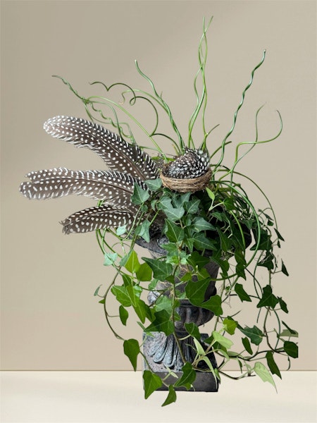 Fågelnäste 3-pack blompinne 21 cm