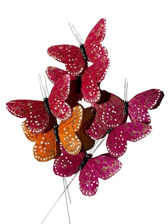 7-pack Golden mix