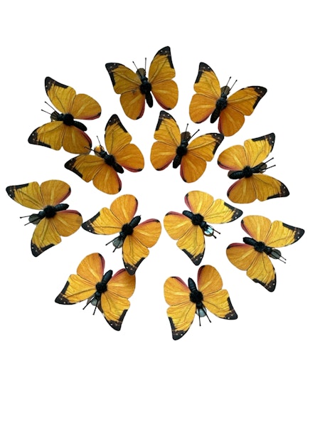 12-pack orangea fjärilar med metallclips, 5 cm