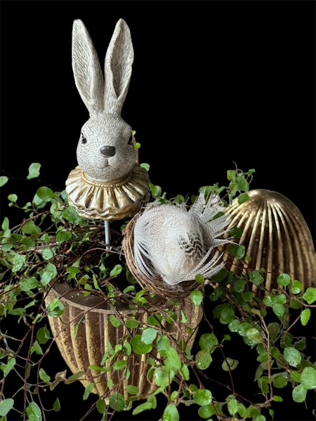 Kaninhuvud med guldkrage 2-pack blomstersticka 20 cm
