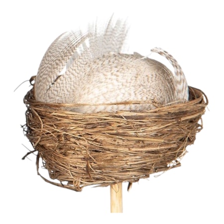 Fågelbo vit, 5 cm