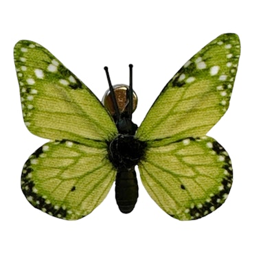 Grön fjäril clip 6x4,3 cm