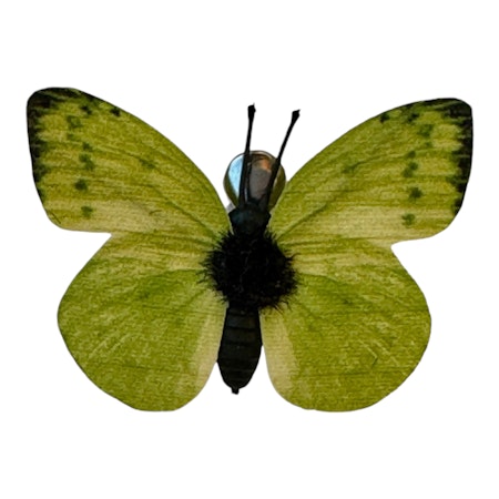Grön fjäril clip 6x4 cm