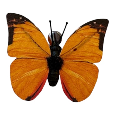 Orange fjärilsclip 6x4,8 cm