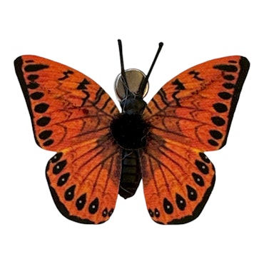 Orange fjärilclip 5,5x4,3 cm