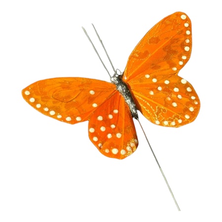 Fjäril Golden Orange, 9 cm