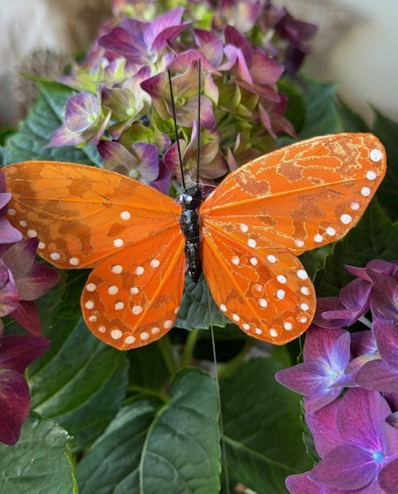 Fjäril Golden Orange, 9 cm
