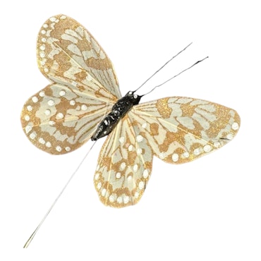 Fjäril Golden blekbeige, 9 cm