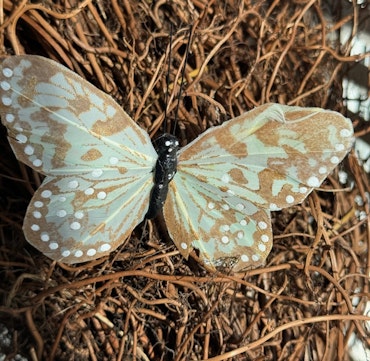 Fjäril Golden blekgrön,  9 cm