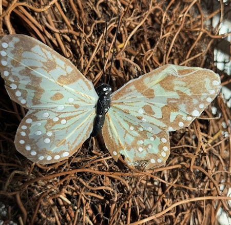 Fjäril Golden blekgrön,  9 cm
