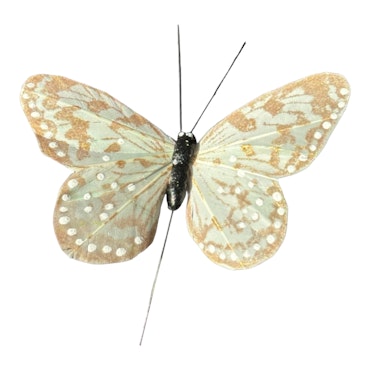 Fjäril Golden blekgrön,  9 cm