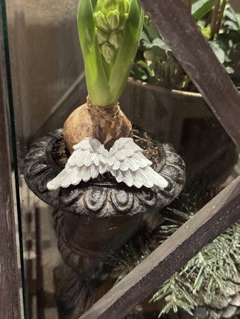 Änglavingar blompinne 8 cm